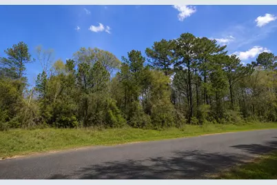 178 Rustic Ranch Drive, New Waverly, TX 77340 - Photo 3