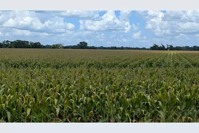 4220 Lee Lane, Wharton, TX 77488 - Photo 9