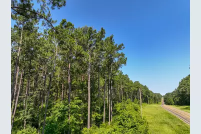 4 Highway 87, Milam, TX 75959 - Photo 3