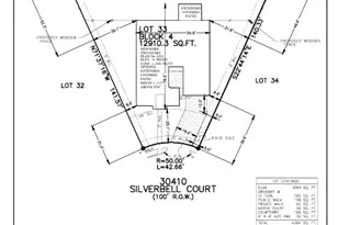 30410 Silverbell S, Fulshear, TX 77441 - Photo 3