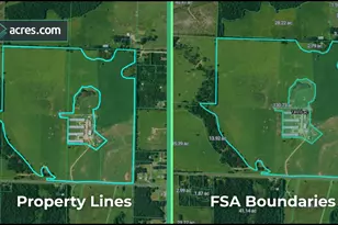 6118 Maybell St, Houston, TX 77091 - Photo 5