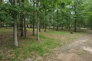 910 Ragsdale Springs Rd, Shepherd, TX 77371 - Photo 29