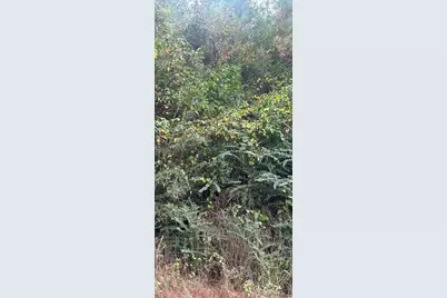 Tbd Williams Drive, Livingston, TX 77351 - Photo 1