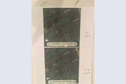 Tbd Williams Drive, Livingston, TX 77351 - Photo 3