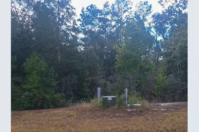 137 Iron Horse Road, Willis, TX 77378 - Photo 3