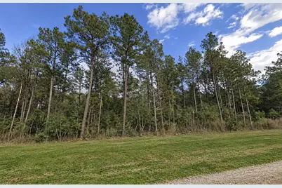 15437 Woodlife Road, Willis, TX 77378 - Photo 3