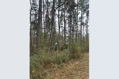 4 Yolanda Street, Huntsville, TX 77320 - Photo 3