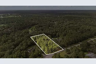 29310 Deer Creek, Magnolia, TX 77355 - Photo 11