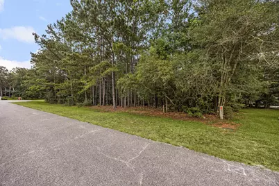 29310 Deer Creek, Magnolia, TX 77355 - Photo 7