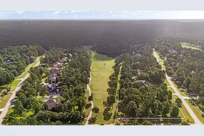 29310 Deer Creek, Magnolia, TX 77355 - Photo 19