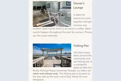 25610 Spotted Sandpiper Drive, Galveston, TX 77554 - Photo 23