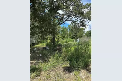 389 E Sherwood Drive, Livingston, TX 77351 - Photo 9