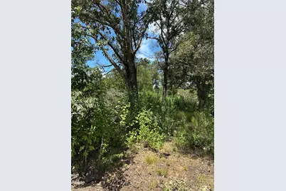 389 E Sherwood Drive, Livingston, TX 77351 - Photo 3