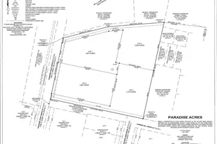 Lot 3 Paradise Point, Willis, TX 77318 - Photo 11