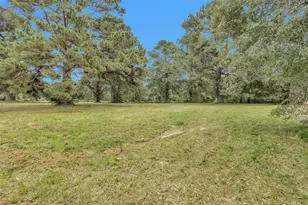 Lot 3 Paradise Point, Willis, TX 77318 - Photo 9