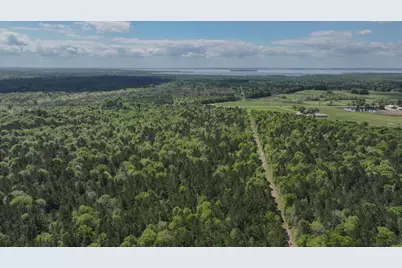 Tbd F M 2457, Livingston, TX 77351 - Photo 23