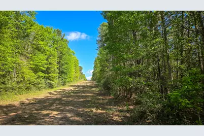 Tbd F M 2457, Livingston, TX 77351 - Photo 3
