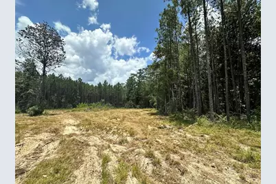 Tbd County Road 4210, Woodville, TX 75979 - Photo 15