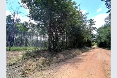 Tbd County Road 4210, Woodville, TX 75979 - Photo 13