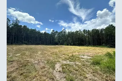 Tbd County Road 4210, Woodville, TX 75979 - Photo 9