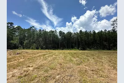 Tbd County Road 4210, Woodville, TX 75979 - Photo 11