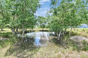 9832 Providence Rd, Needville, TX 77461 - Photo 35