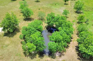 9832 Providence Rd, Needville, TX 77461 - Photo 39