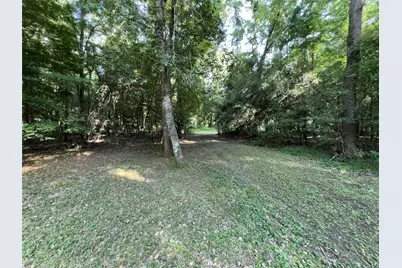 4011 County Road 3775, Colmesneil, TX 75938 - Photo 43