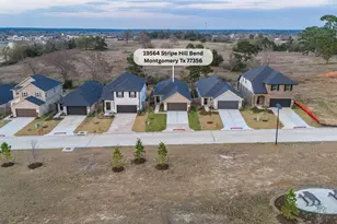 19564 Stripe Hl Bnd, Montgomery, TX 77316 - Photo 3