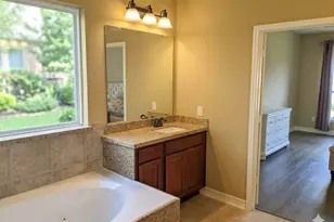 25206 Bristlecone Pine Ln, Spring, TX 77389 - Photo 15