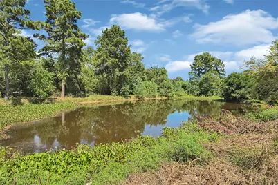 1602 Baker Drive, Tomball, TX 77375 - Photo 33