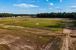 12977 Gustavo Dr, Conroe, TX 77306 - Photo 47