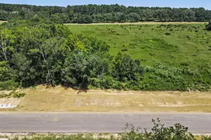9735 Lakeside Oaks Dr, Plantersville, TX 77363 - Photo 1
