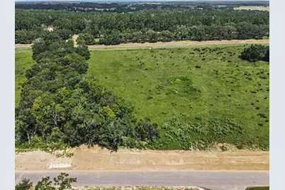 9735 Lakeside Oaks Dr, Plantersville, TX 77363 - Photo 3