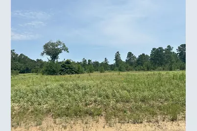 31862 Boone Road, Waller, TX 77484 - Photo 9