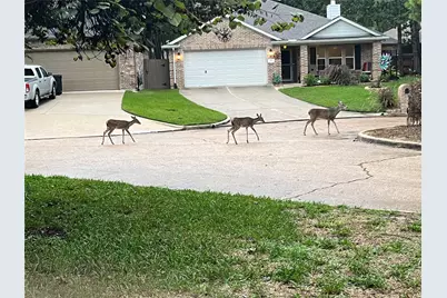 3619 Woodland Lane, Montgomery, TX 77356 - Photo 31