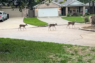 3619 Woodland Ln, Montgomery, TX 77356 - Photo 31