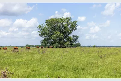 0 Johnston Road, Wallis, TX 77485 - Photo 25