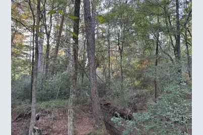 70 Quail Trail, Trinity, TX 75862 - Photo 9