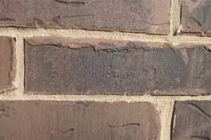 2304 Three Wood Way, Navasota, TX 77868 - Photo 3