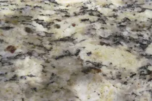 2304 Three Wood Way, Navasota, TX 77868 - Photo 7