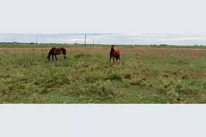 1249 Country Road 141, Garwood, TX 77470 - Photo 11