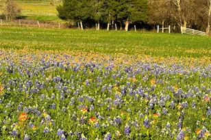 9058 Sam Houston Rd, Brenham, TX 77833 - Photo 47