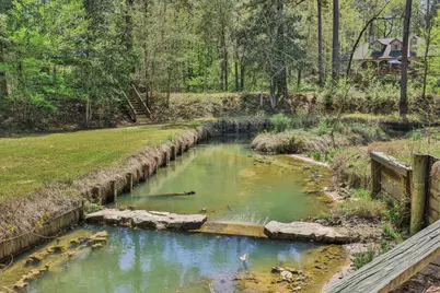250 Critter Creek Road, Coldspring, TX 77331 - Photo 5