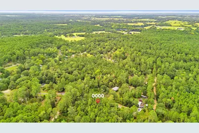 0000 County Road 201 Loop, Plantersville, TX 77363 - Photo 7