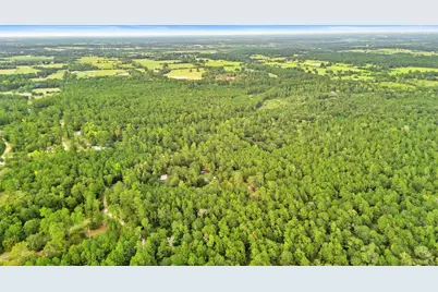 0000 County Road 201 Loop, Plantersville, TX 77363 - Photo 13