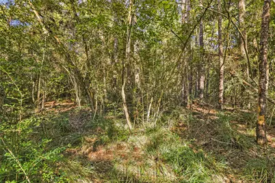 238 Kings Court, Dayton, TX 77535 - Photo 3