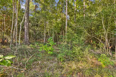 238 Kings Court, Dayton, TX 77535 - Photo 5