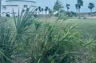 17009 San Luis Pass Rd, Galveston, TX 77554 - Photo 21