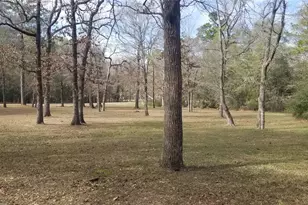 19190 Todd Rd, Magnolia, TX 77355 - Photo 19